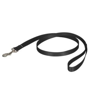 PetSafe Nylon Dog Leash Strong, B000OGLEQ4