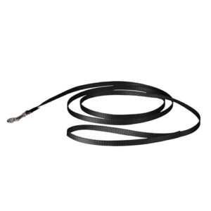 PetSafe Nylon Dog Leash Strong, B000OGRDK0