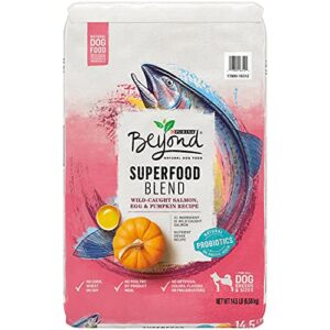 Purina Beyond Natural Dry Dog B00JVHSPHI