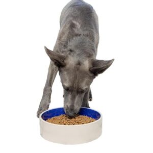 SPOT Standard Crock Dish B0002AS5QY