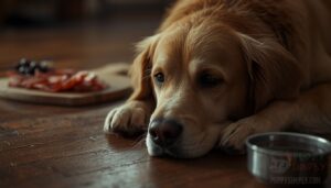 symptoms of prosciutto poisoning in dogs symptoms of prosciutto poisoning in dogs