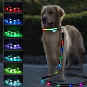 USB Rechargeable LED Dog Leash B08GH7VFQL