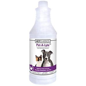 Vet Classics Pet A Lyte Oral Electrolyte B006O08BYM