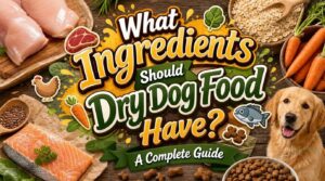 what ingredients should dry dog food have