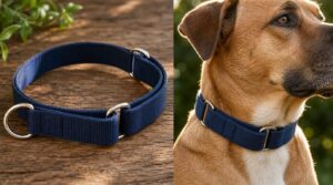 what martingale collars do what martingale collars do