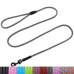 WYuZe 5ft Puppy Leash for B0F62FRR3N