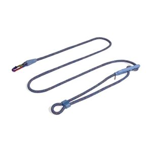 Andromeda 4 in 1 Hands Free Dog Leash B09TNJXTSL