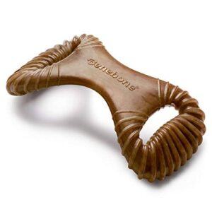 Benebone Dental Durable Dog Chew B07C584K4Y