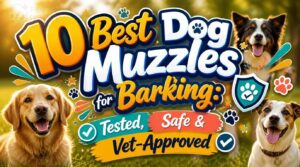 best dog muzzle for barking best dog muzzle for barking