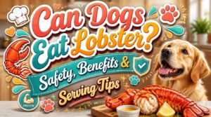 can dogs eat lobster can dogs eat lobster
