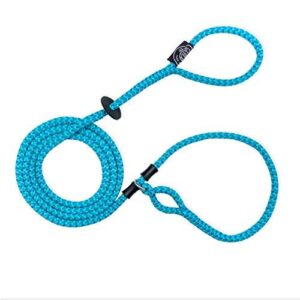 Harness Lead No Pull Dog B07ND5R4C5