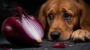 how much onion is toxic to dogs how much onion is toxic to dogs