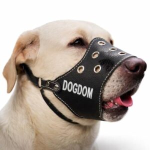 Leather Dog Muzzle for Medium B0F88XFL8B