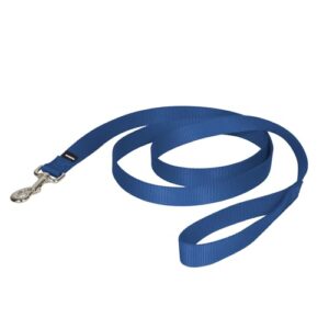 PetSafe Nylon Dog Leash B000OGP9WE