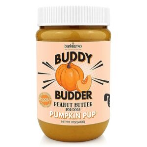 Pumpkin Pup Buddy BUDDER, 100% B07PVL16CR