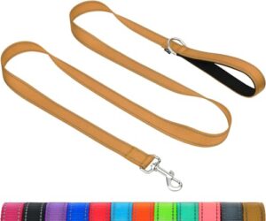 Taglory Dog Leash for Small B08L954V41
