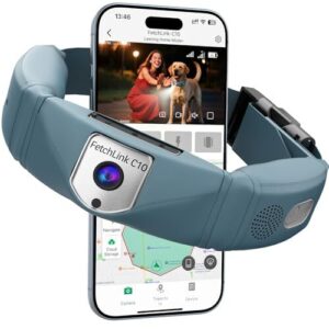 Wireless Dog Fence System, GPS B0FJFJKMHM