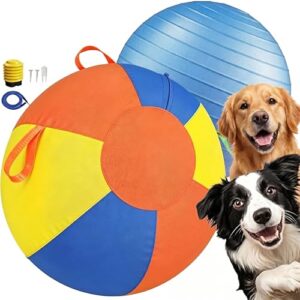 10/18/22" Herding Ball for Dogs B0GK8JP9V7