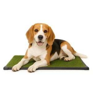 Artificial Grass Puppy Pee Pad B00ICVHY5I