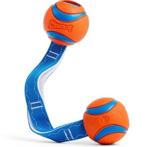 Chuckit! Ultra Duo Tug Dog B008APMO7O