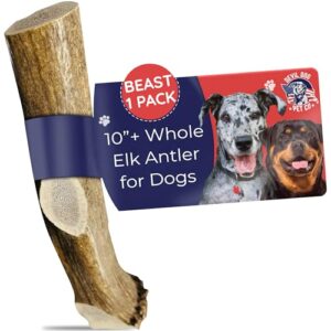 Devil Dog Pet Co. Elk B0BKCCG6S5
