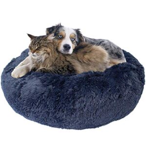 Downtown Pet Supply Orthopedic Dog B082T31PWW
