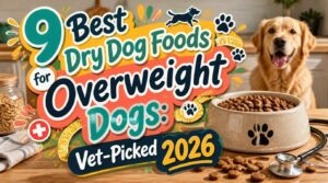 dry dog foods for overweight dogs