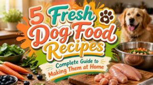 fresh dog food recipes fresh dog food recipes