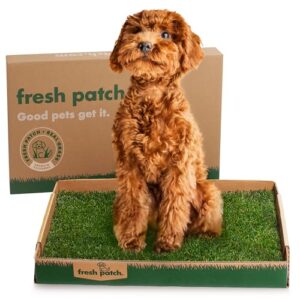Fresh Patch Real Grass Patch B005G7S6UI