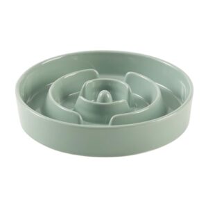 Havniva Ceramic Slow Feeder Dog B09VPDWQ4T