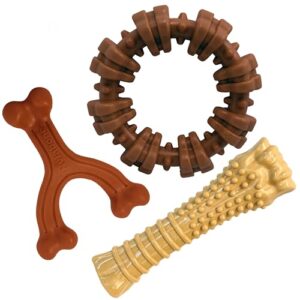 Nylabone Power Chew Customer Favorites B07SFKH6D8