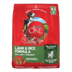 Purina ONE Dry Dog Food B000PTS2JW