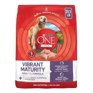 Purina ONE High Protein Dry B008K2YJFW
