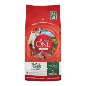 Purina One Small Breed Plus B07CWRN594