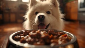 wet food palatability wet food palatability