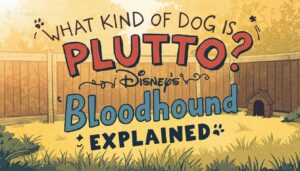 what kind of dog is pluto